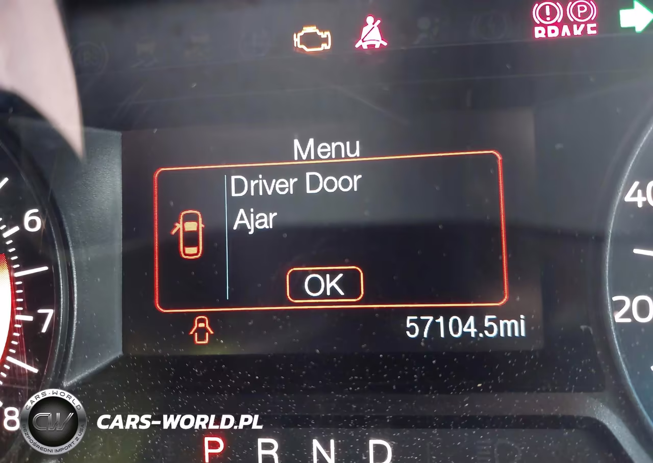 2019 Ford Police Interceptor Utility VIN:1FM5K8AR3KGB14091 - 15