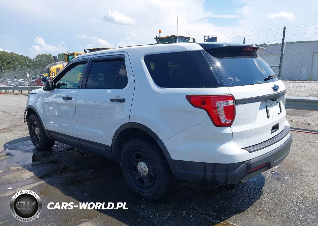2019 Ford Police Interceptor Utility VIN:1FM5K8AR3KGB14091 - 3