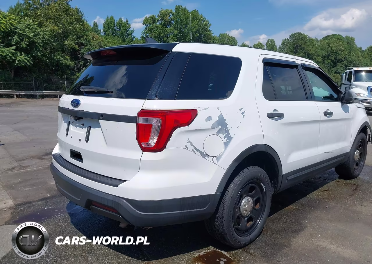 2019 Ford Police Interceptor Utility VIN:1FM5K8AR3KGB14091 - 4