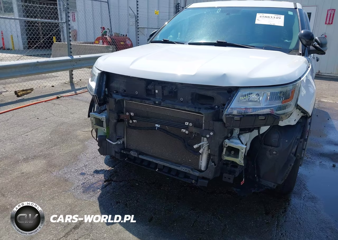 2019 Ford Police Interceptor Utility VIN:1FM5K8AR3KGB14091 - 6