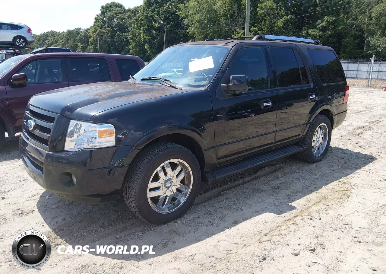 2009 Ford Expedition Limited VIN:1FMFU19559EB19015 - 2