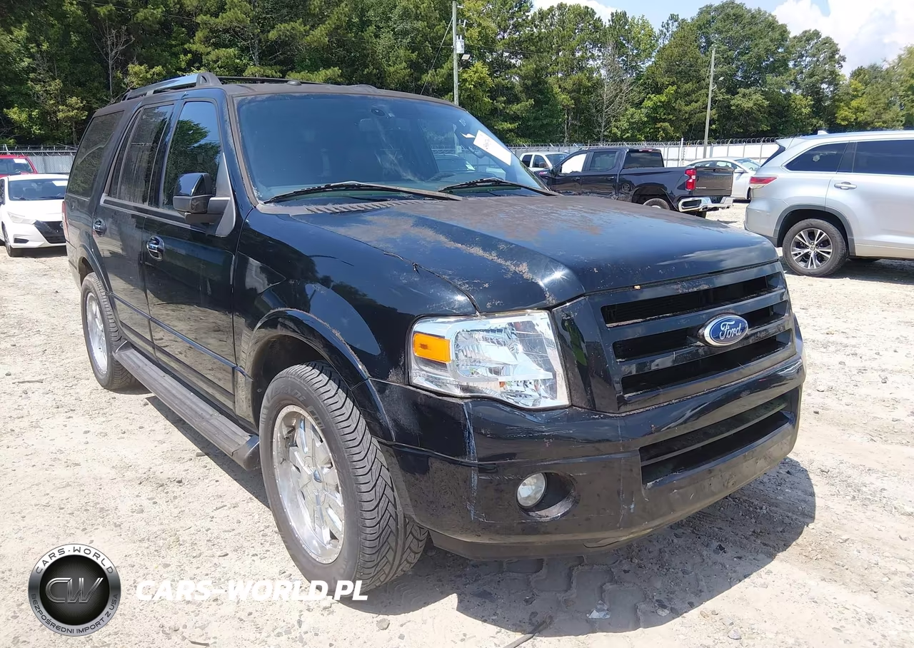 2009 Ford Expedition Limited VIN:1FMFU19559EB19015 - 6
