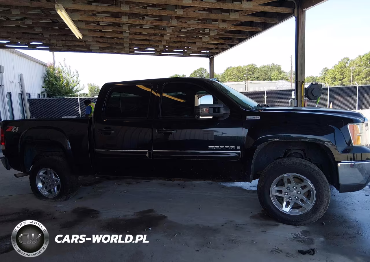 2009 GMC Sierra 1500 Slt VIN:3GTEK33M49G254464 - 12
