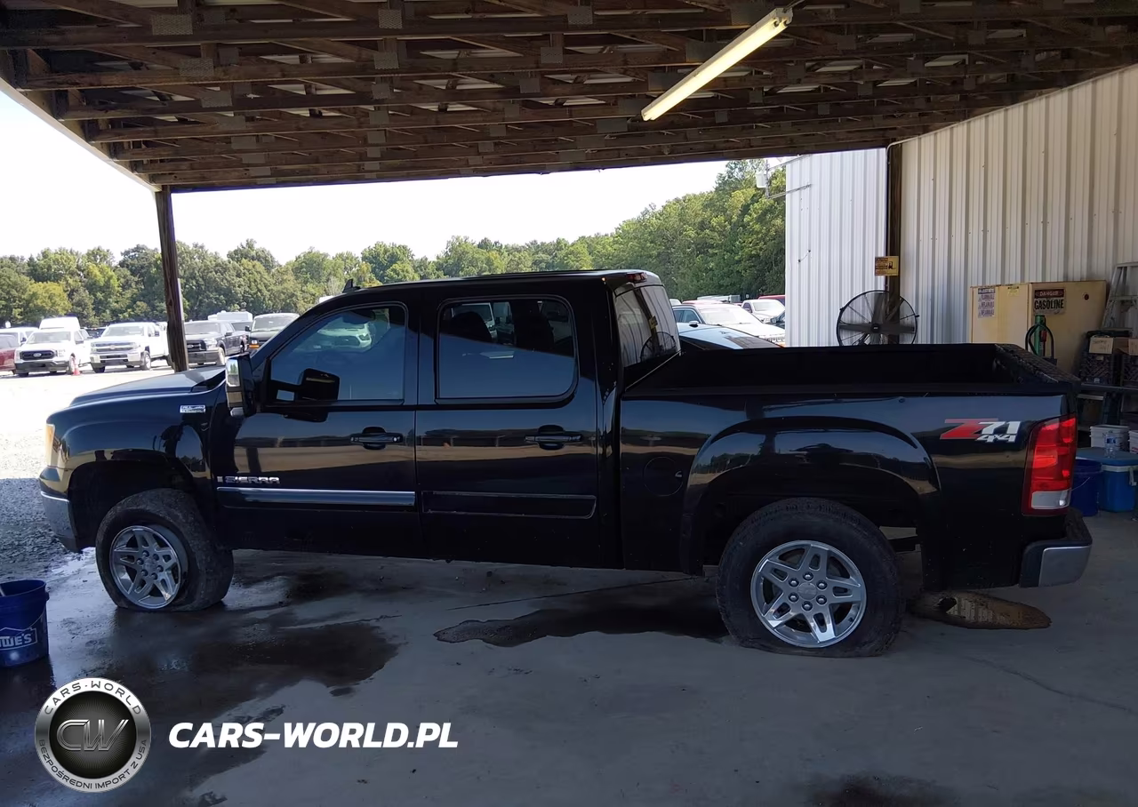 2009 GMC Sierra 1500 Slt VIN:3GTEK33M49G254464 - 13