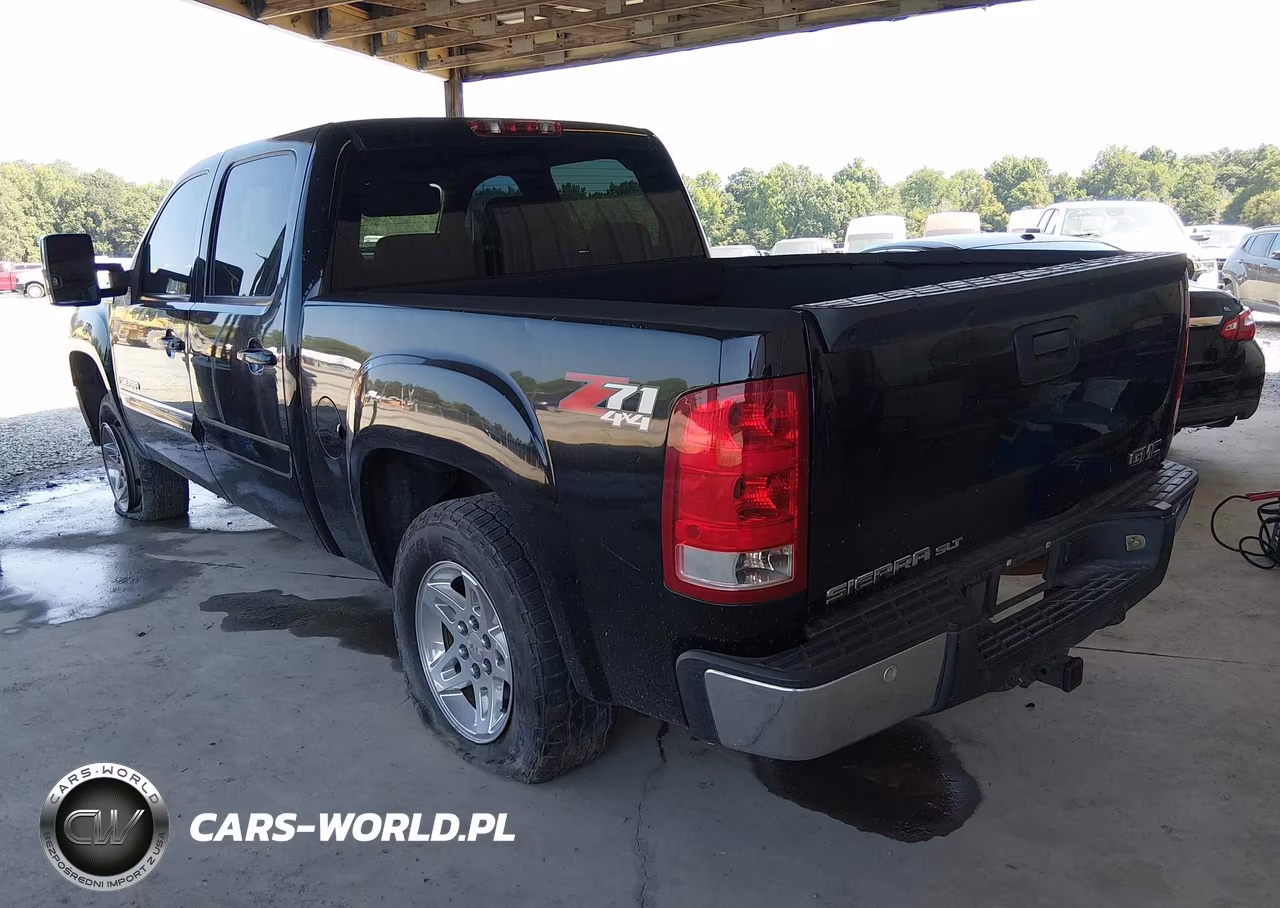 2009 GMC Sierra 1500 Slt VIN:3GTEK33M49G254464 - 3