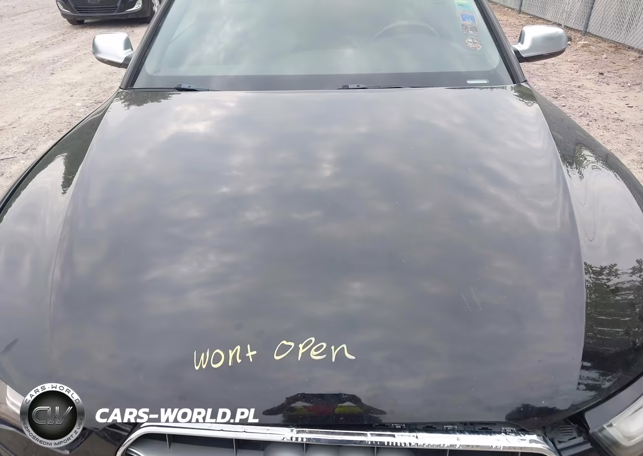 2013 Audi S5 3.0T Premium Plus VIN:WAUCGAFR0DA031699 - 10