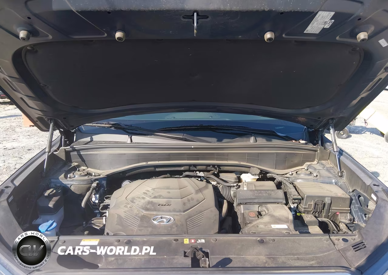 2022 Hyundai Palisade Sel VIN:KM8R44HE9NU424775 - 10