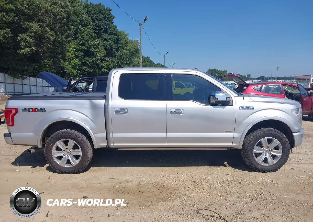 2016 Ford F-150 King Ranch-Lariat-Limited-Platinum-Xl-Xlt VIN:1FTEW1EG6GFC54321 - 13