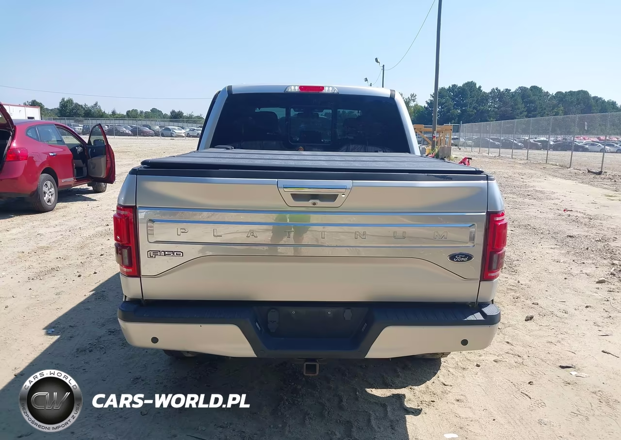 2016 Ford F-150 King Ranch-Lariat-Limited-Platinum-Xl-Xlt VIN:1FTEW1EG6GFC54321 - 16