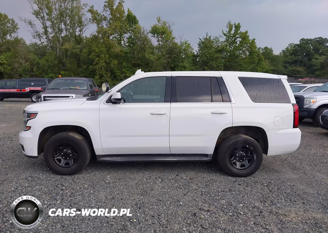 2019 Chevrolet Tahoe Commercial Fleet VIN:1GNSKDECXKR218000 - 17