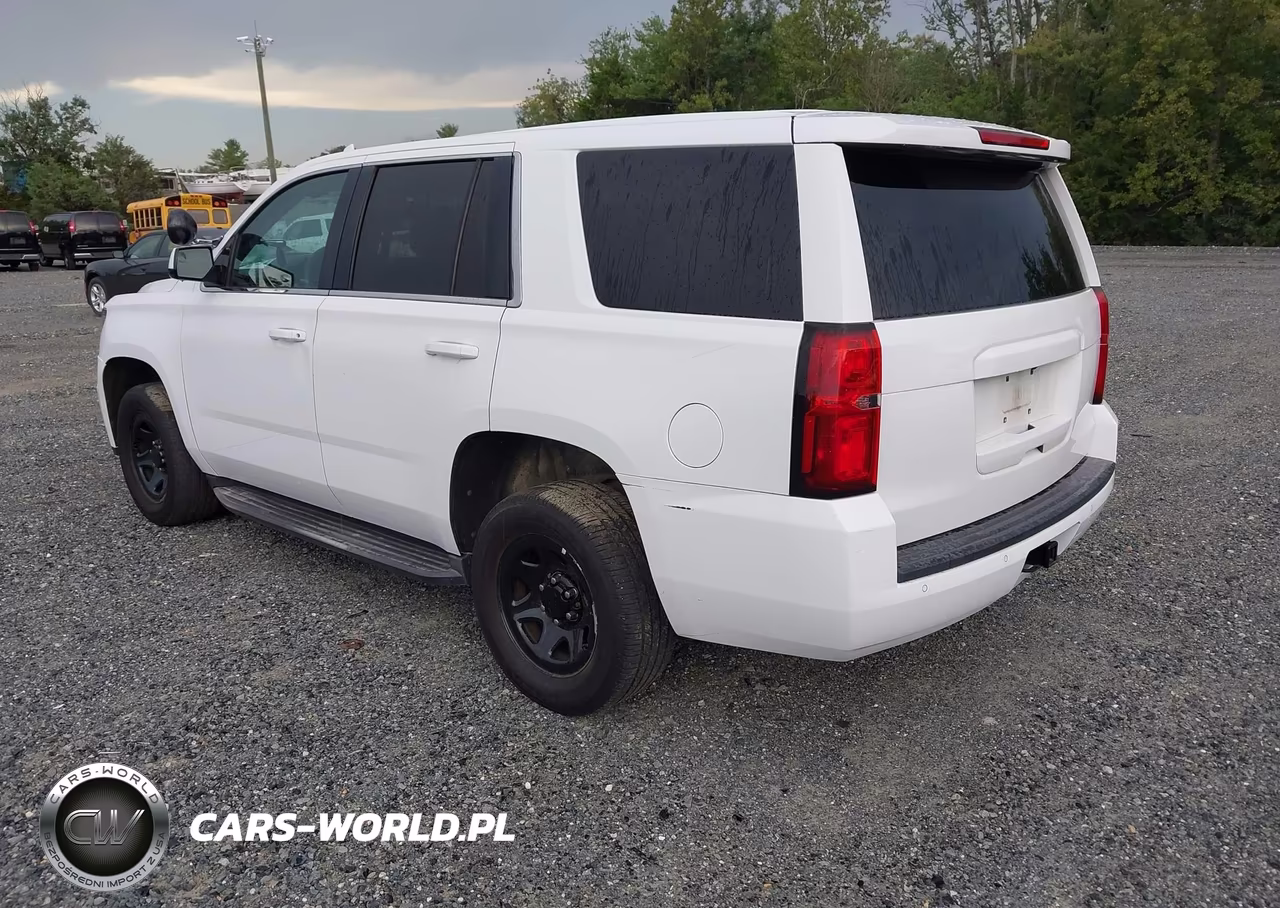 2019 Chevrolet Tahoe Commercial Fleet VIN:1GNSKDECXKR218000 - 3