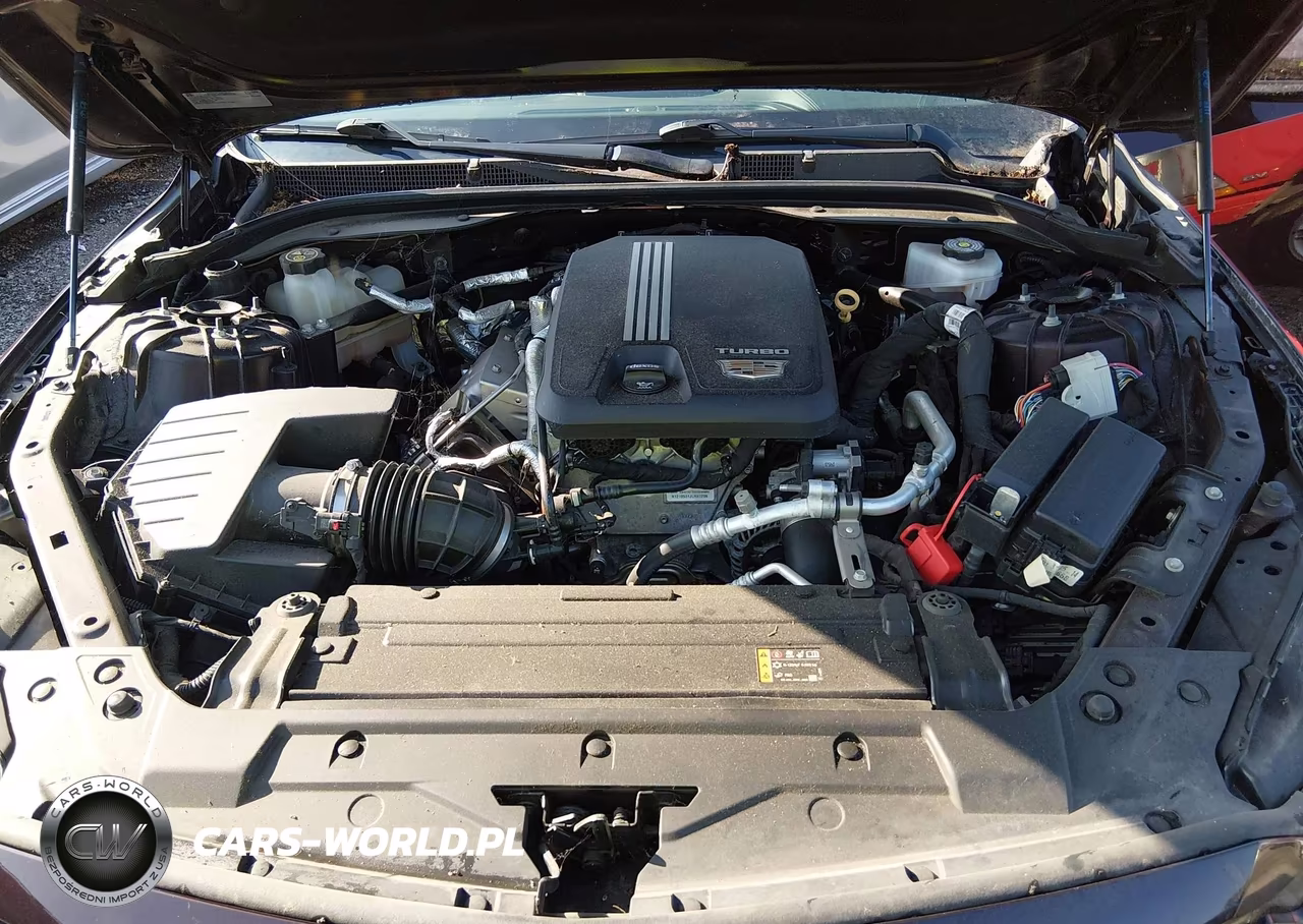2021 Cadillac Ct5 Luxury VIN:1G6DW5RK9M0144950 - 10
