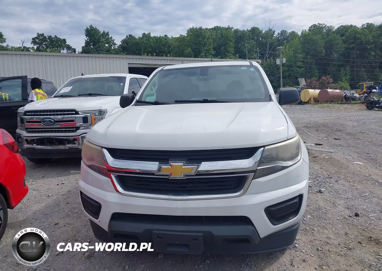 2015 Chevrolet Colorado 2Wd Wt VIN:1GCHSAEA3F1247035 - 16