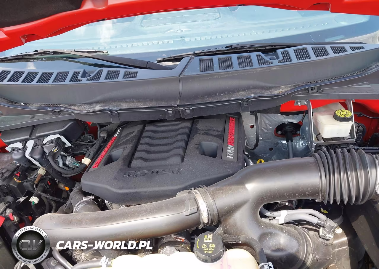 FORD F150 RAPTO VIN:1FTFW1RG7MFC62731 - 10