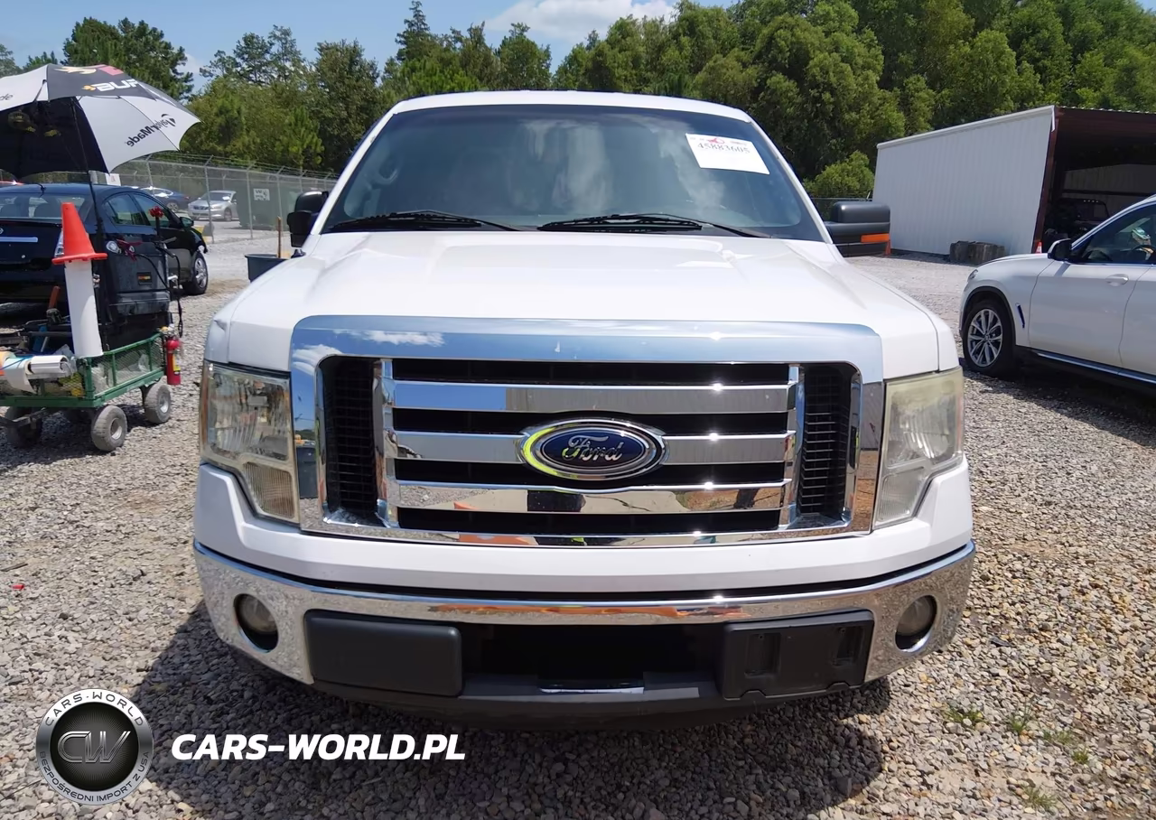 2012 Ford F-150 Xlt VIN:1FTFX1CT2CFD07155 - 12