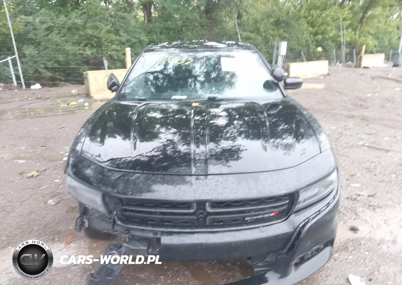 2018 Dodge Charger Police Rwd VIN:2C3CDXAT1JH212409 - 12