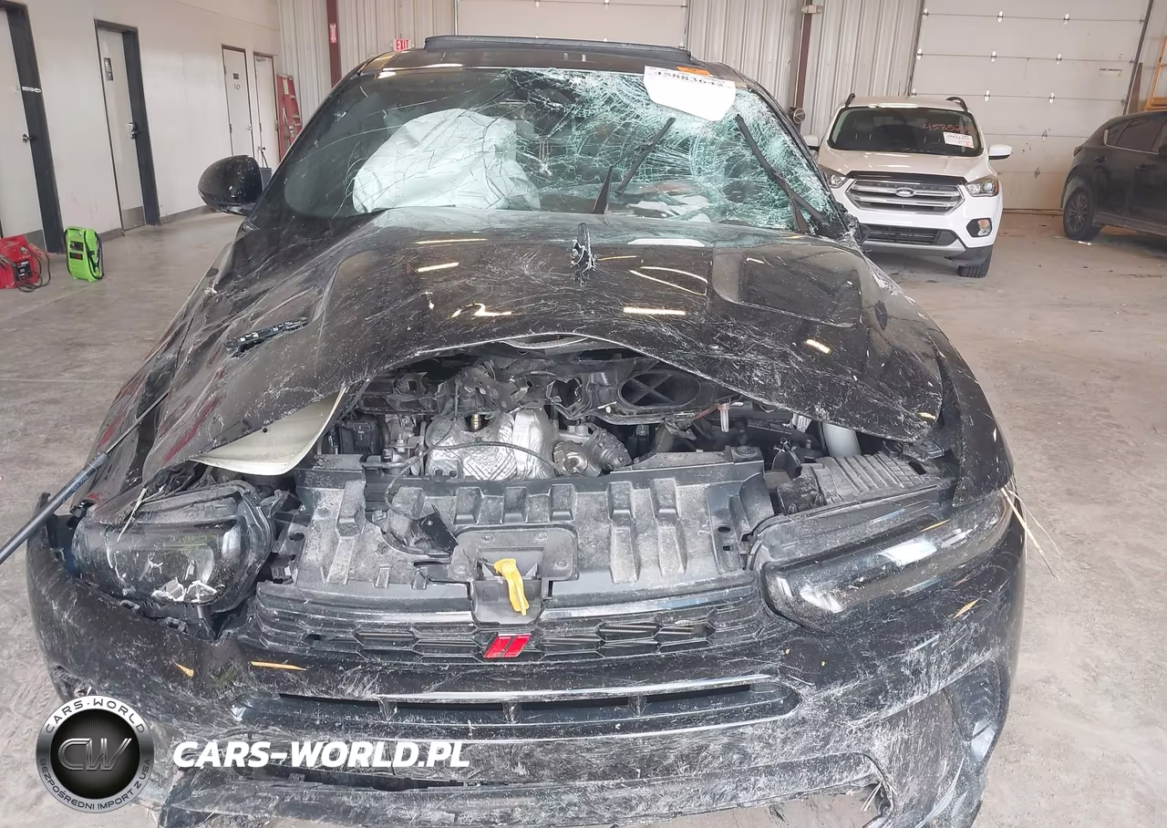 2024 Dodge Hornet Gt Plus Awd VIN:ZACNDFAN6R3A38080 - 12