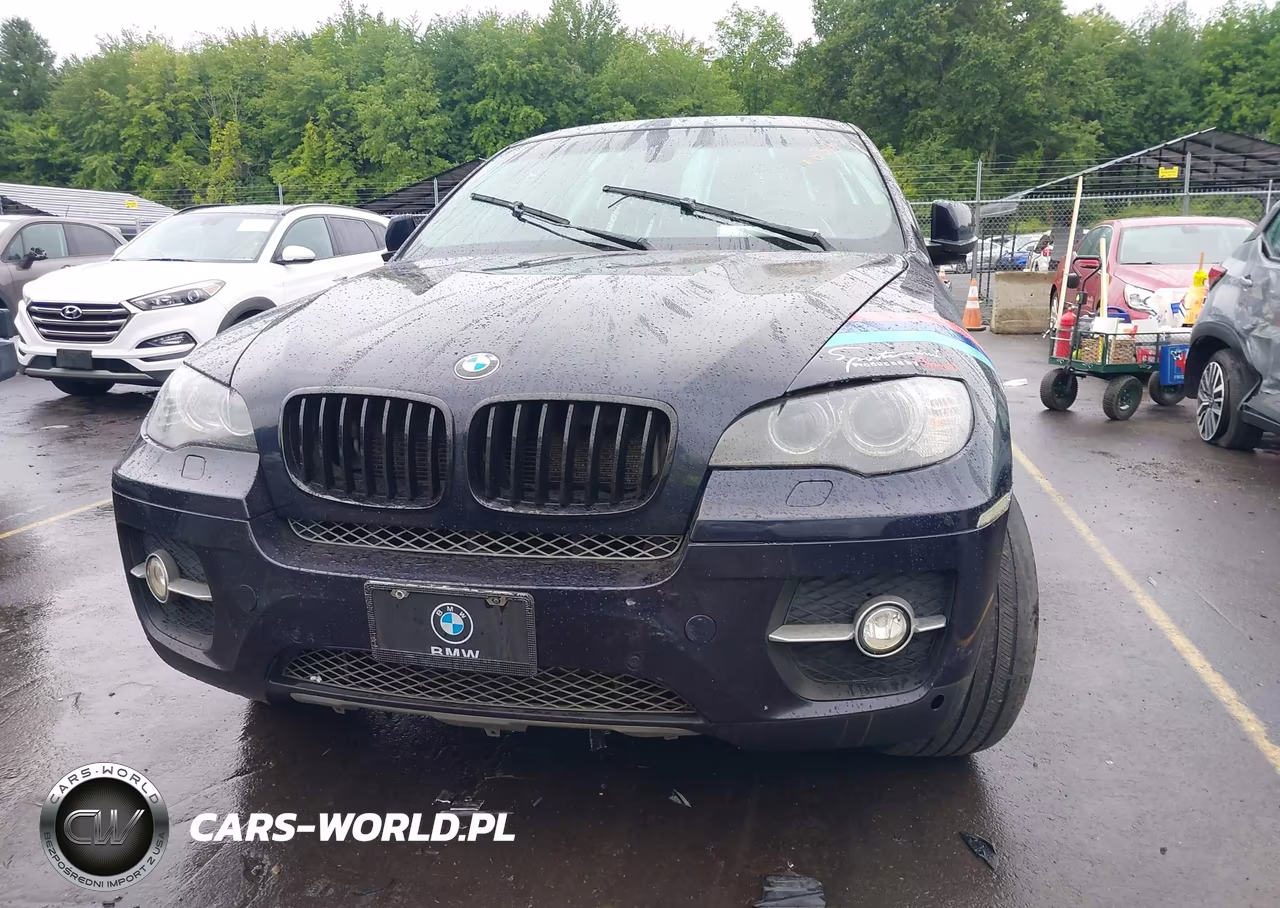 2011 BMW X6 xDrive35I VIN:5UXFG2C51BLX08234 - 12