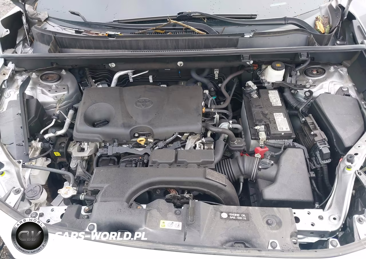 2021 Toyota Rav4 Xle VIN:2T3P1RFV5MW171668 - 10