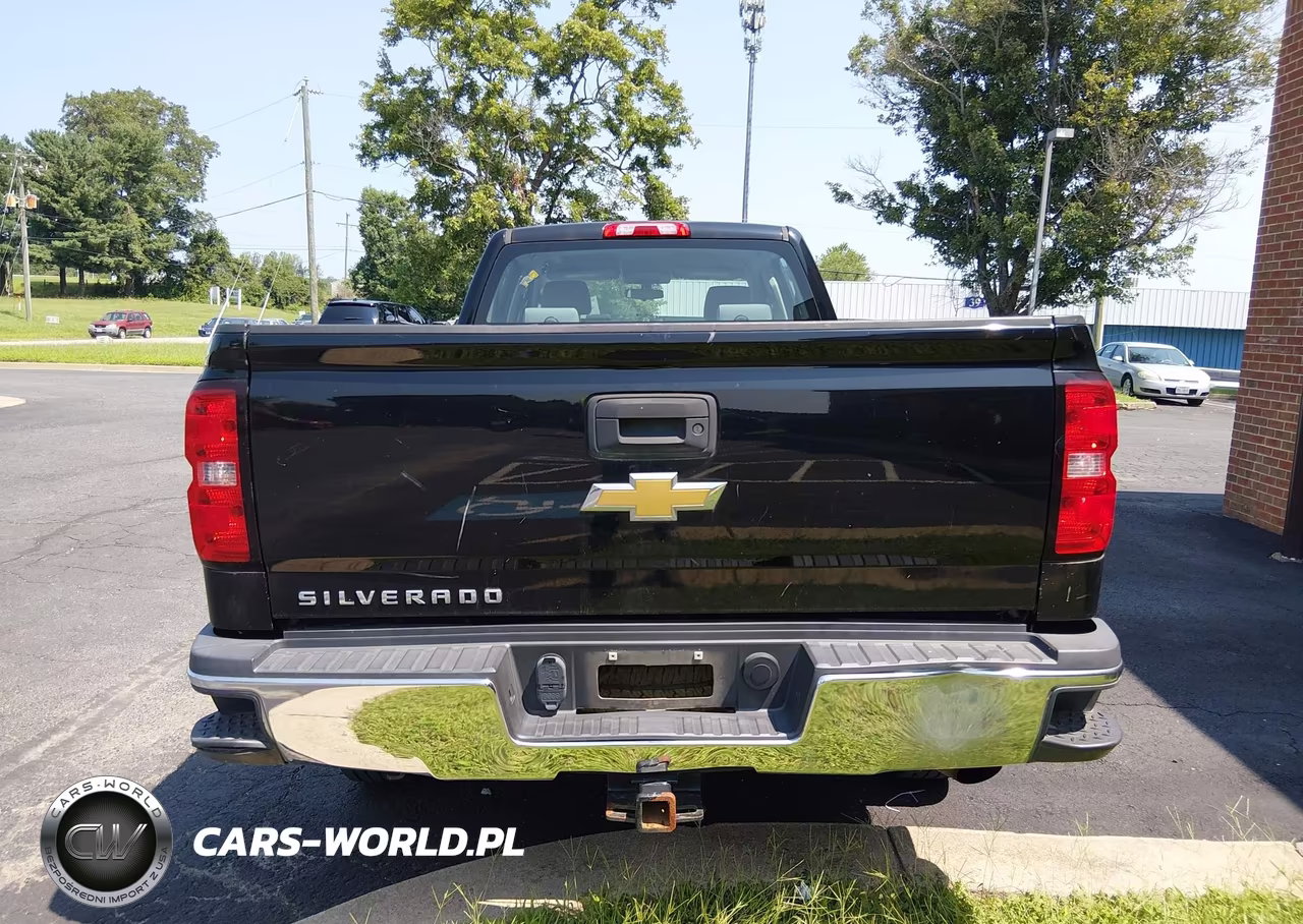 2017 Chevrolet Silverado 2500Hd Work Truck VIN:1GC1KUEGXHF218709 - 20