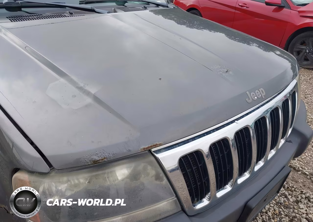 2003 Jeep Grand Cherokee Laredo VIN:1J4GW48S03C604266 - 13