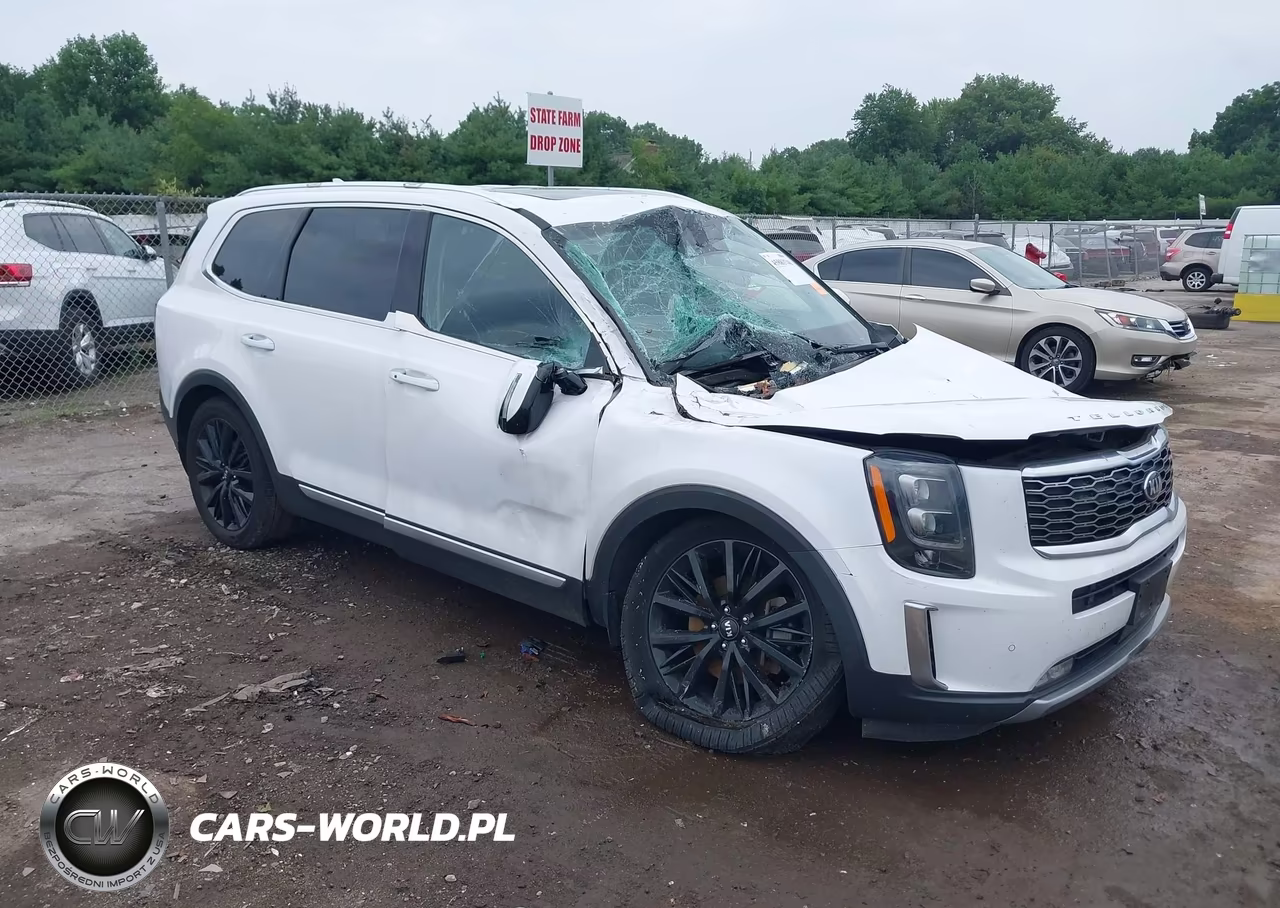 2021 Kia Telluride Sx VIN:5XYP54HC5MG148831 - 1
