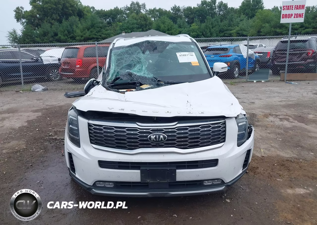 2021 Kia Telluride Sx VIN:5XYP54HC5MG148831 - 13