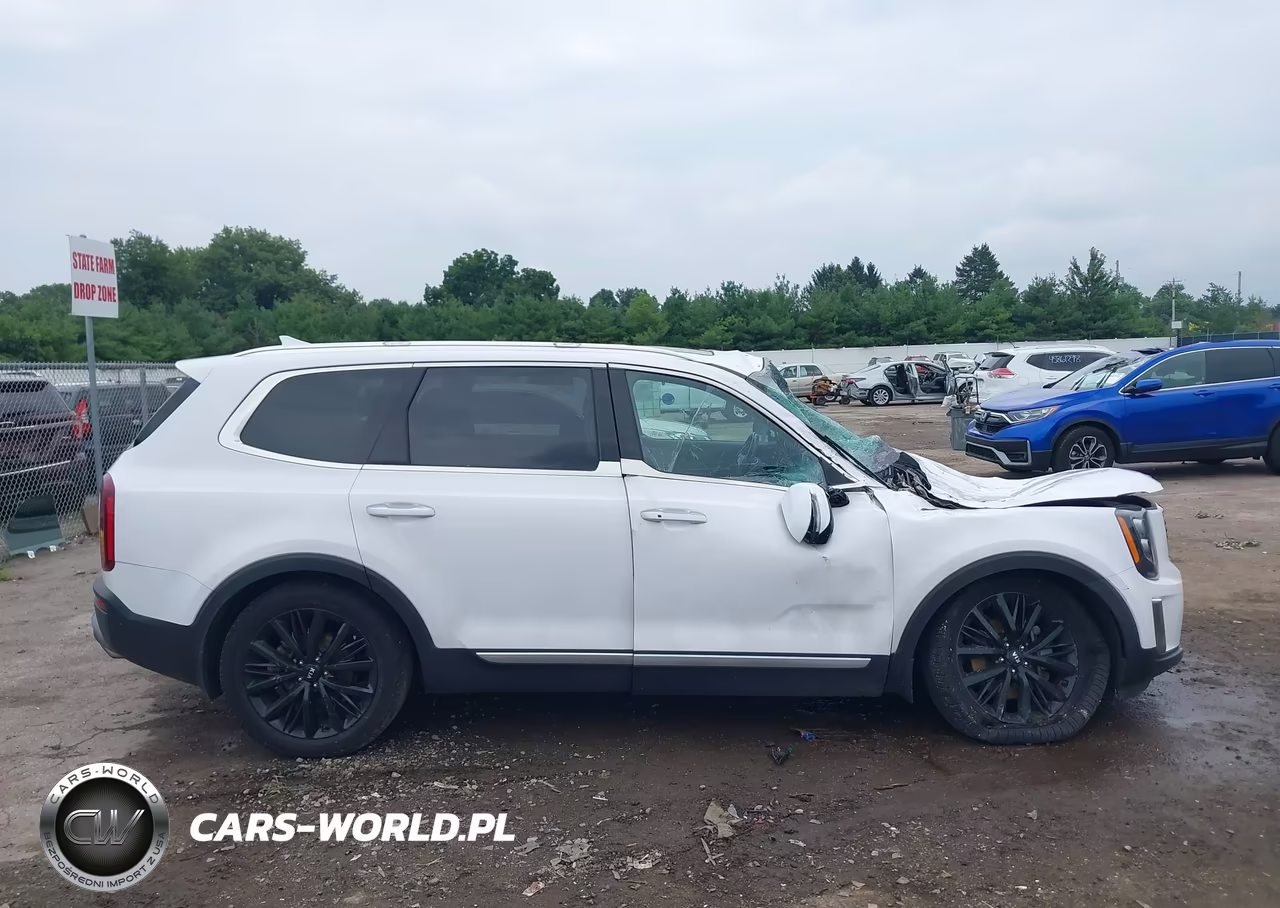 2021 Kia Telluride Sx VIN:5XYP54HC5MG148831 - 14