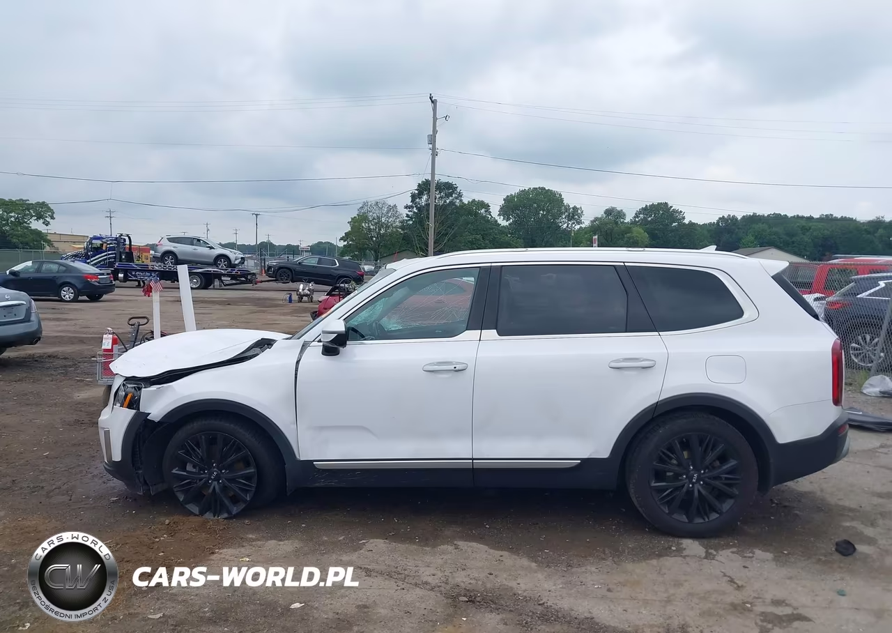 2021 Kia Telluride Sx VIN:5XYP54HC5MG148831 - 15