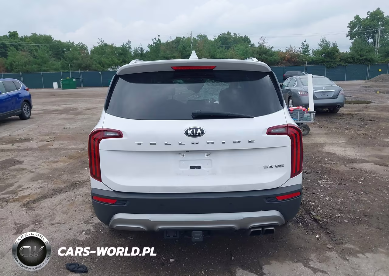 2021 Kia Telluride Sx VIN:5XYP54HC5MG148831 - 17