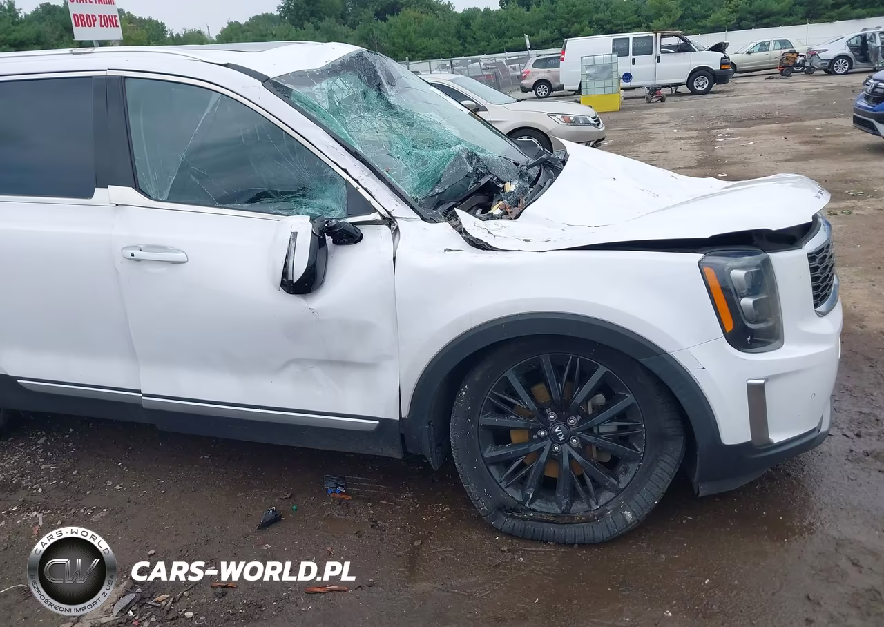 2021 Kia Telluride Sx VIN:5XYP54HC5MG148831 - 18