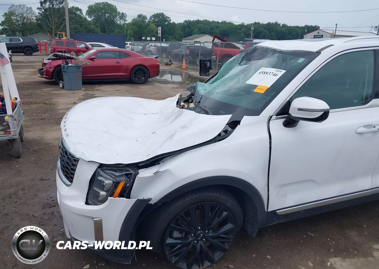 2021 Kia Telluride Sx VIN:5XYP54HC5MG148831 - 19