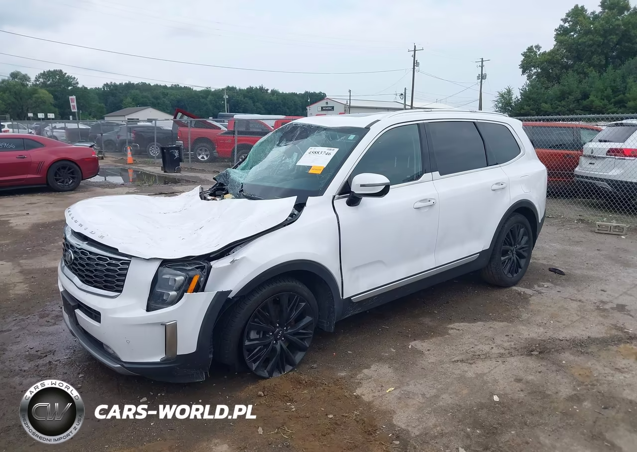 2021 Kia Telluride Sx VIN:5XYP54HC5MG148831 - 2