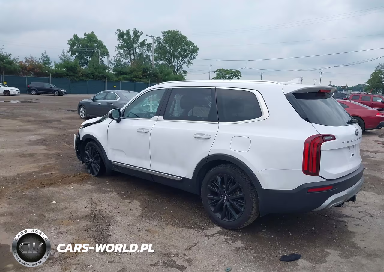 2021 Kia Telluride Sx VIN:5XYP54HC5MG148831 - 3