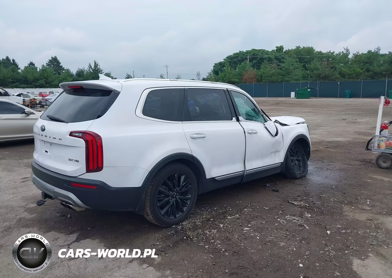 2021 Kia Telluride Sx VIN:5XYP54HC5MG148831 - 4