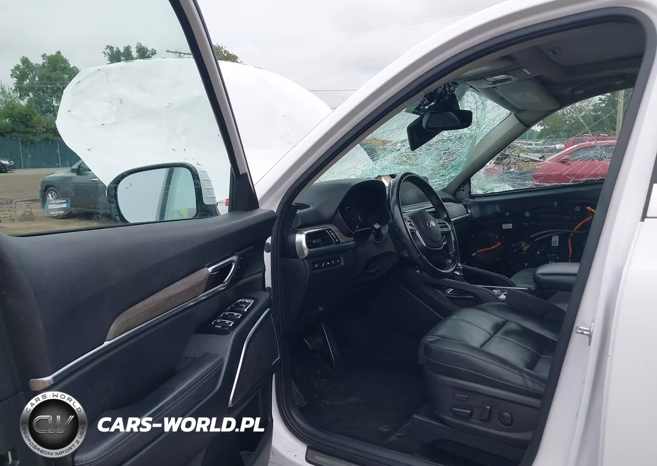 2021 Kia Telluride Sx VIN:5XYP54HC5MG148831 - 5