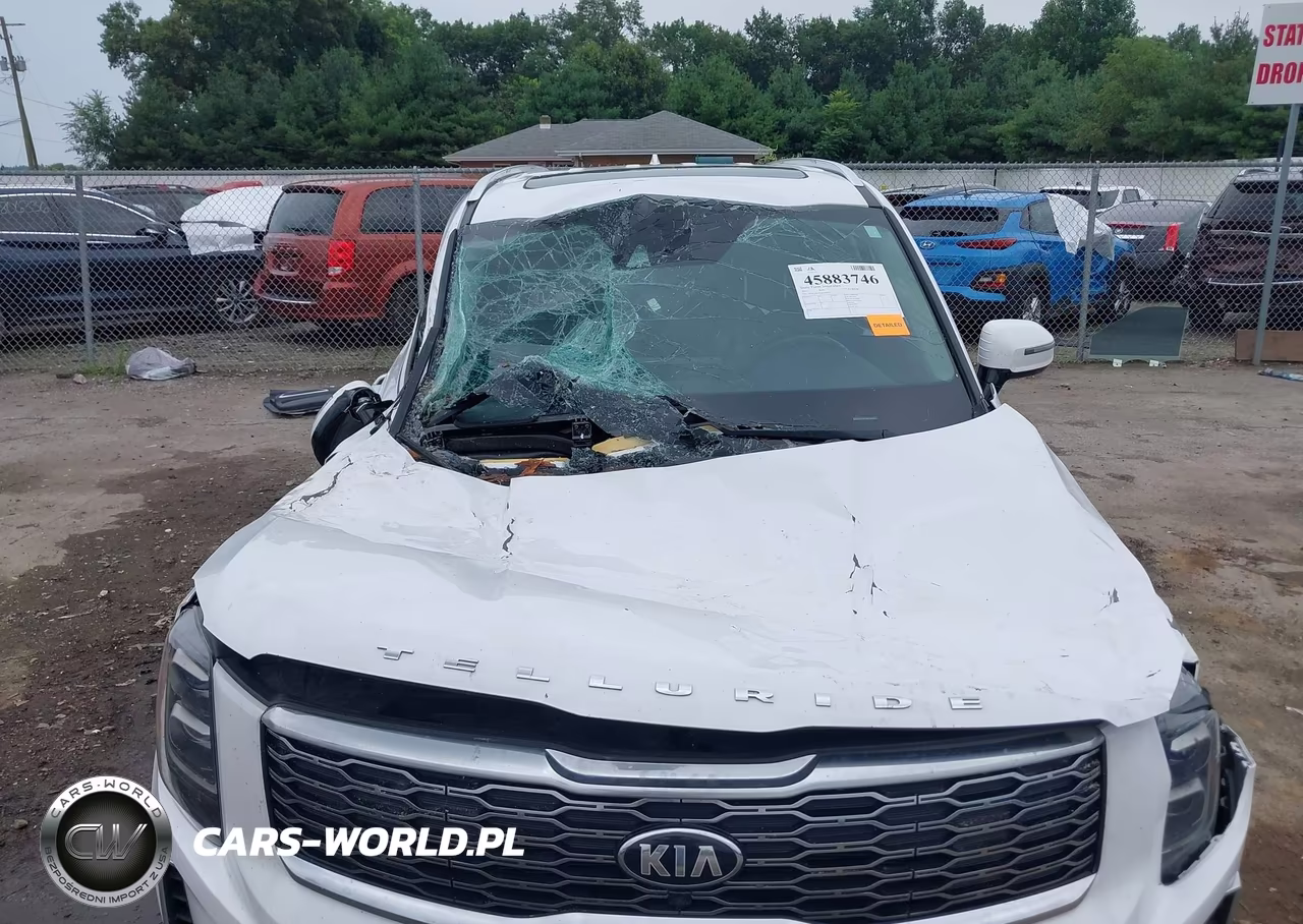 2021 Kia Telluride Sx VIN:5XYP54HC5MG148831 - 6