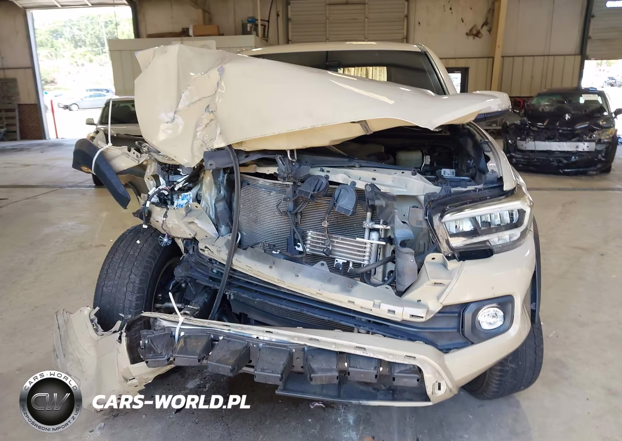 2020 Toyota Tacoma Trd Off-Road VIN:3TMCZ5AN0LM343595 - 12