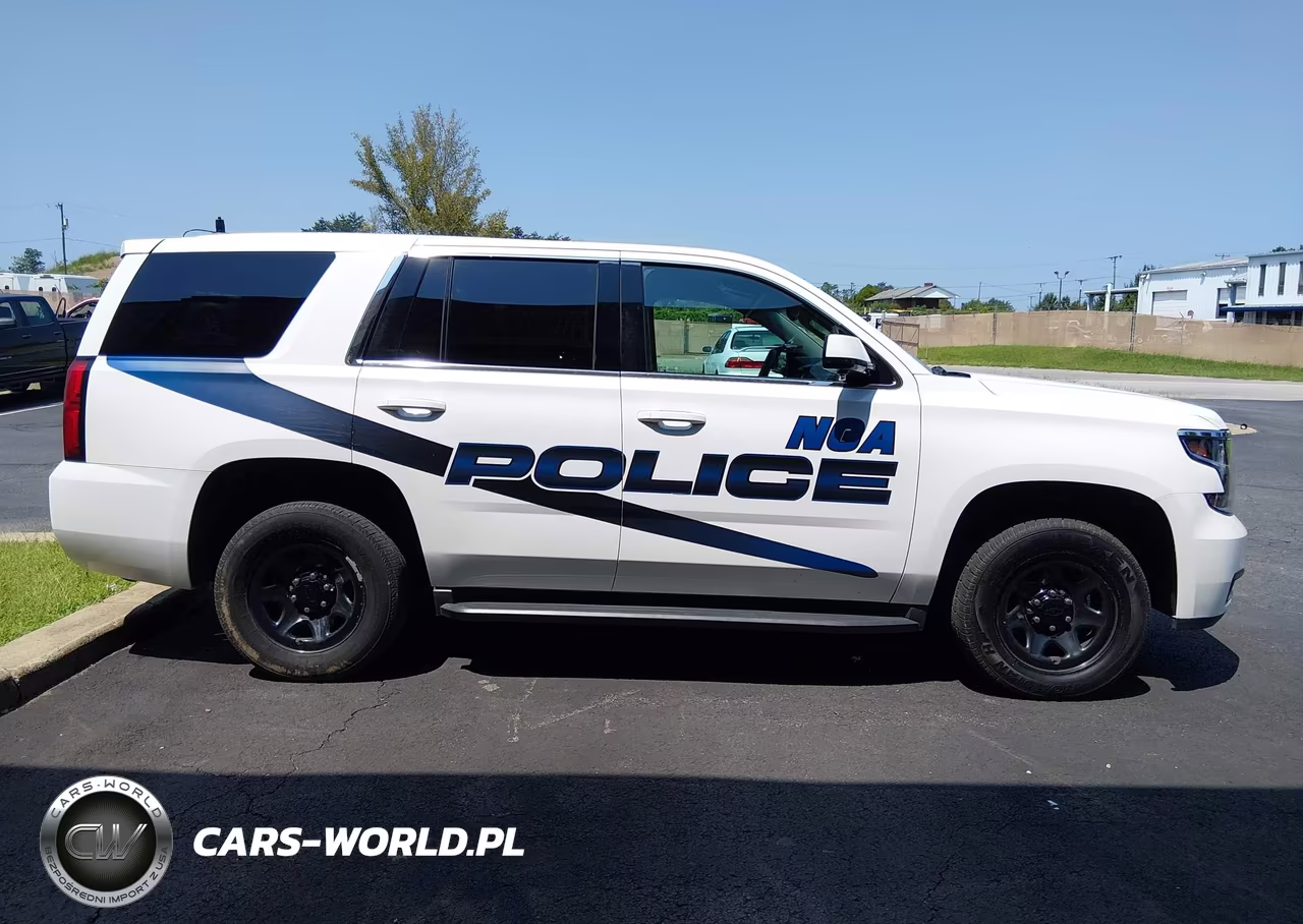 2019 Chevrolet Tahoe Commercial Fleet VIN:1GNSKDEC9KR218778 - 17