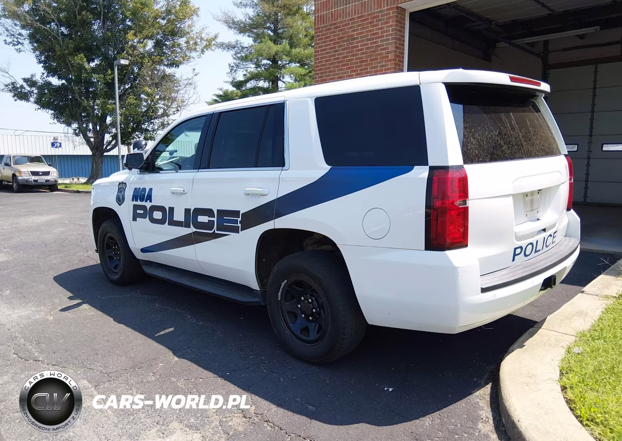 2019 Chevrolet Tahoe Commercial Fleet VIN:1GNSKDEC9KR218778 - 3