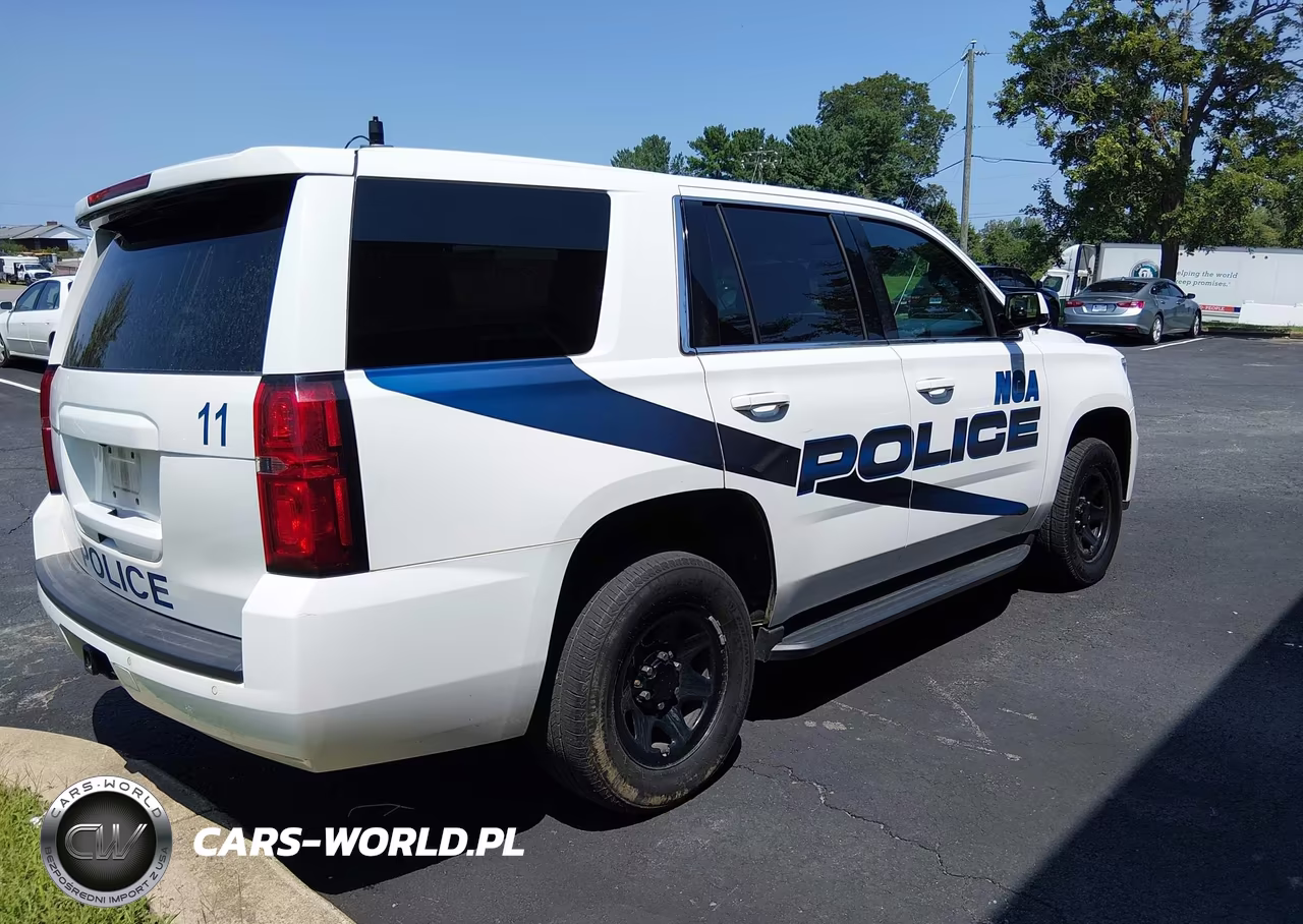 2019 Chevrolet Tahoe Commercial Fleet VIN:1GNSKDEC9KR218778 - 4