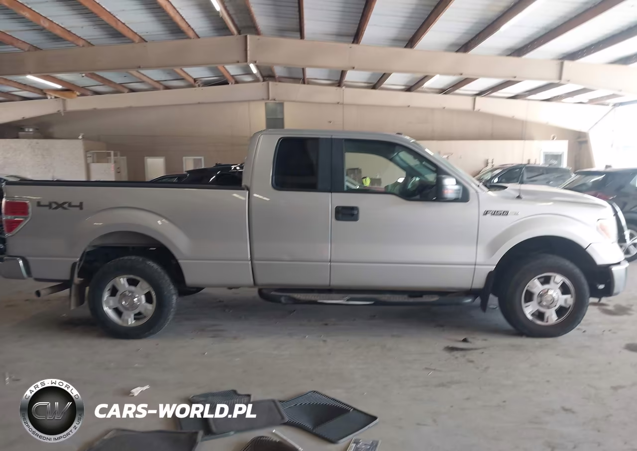 2010 Ford F-150 Stx-Xl-Xlt VIN:1FTEX1E81AFB94221 - 13