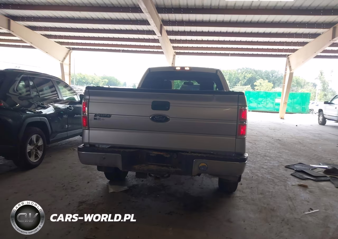 2010 Ford F-150 Stx-Xl-Xlt VIN:1FTEX1E81AFB94221 - 16