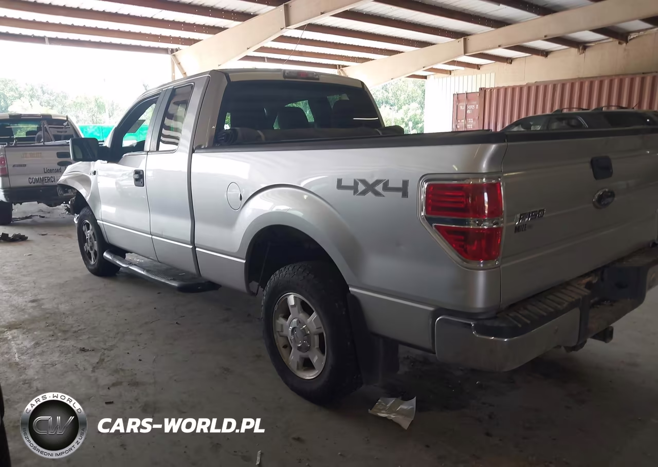 2010 Ford F-150 Stx-Xl-Xlt VIN:1FTEX1E81AFB94221 - 3