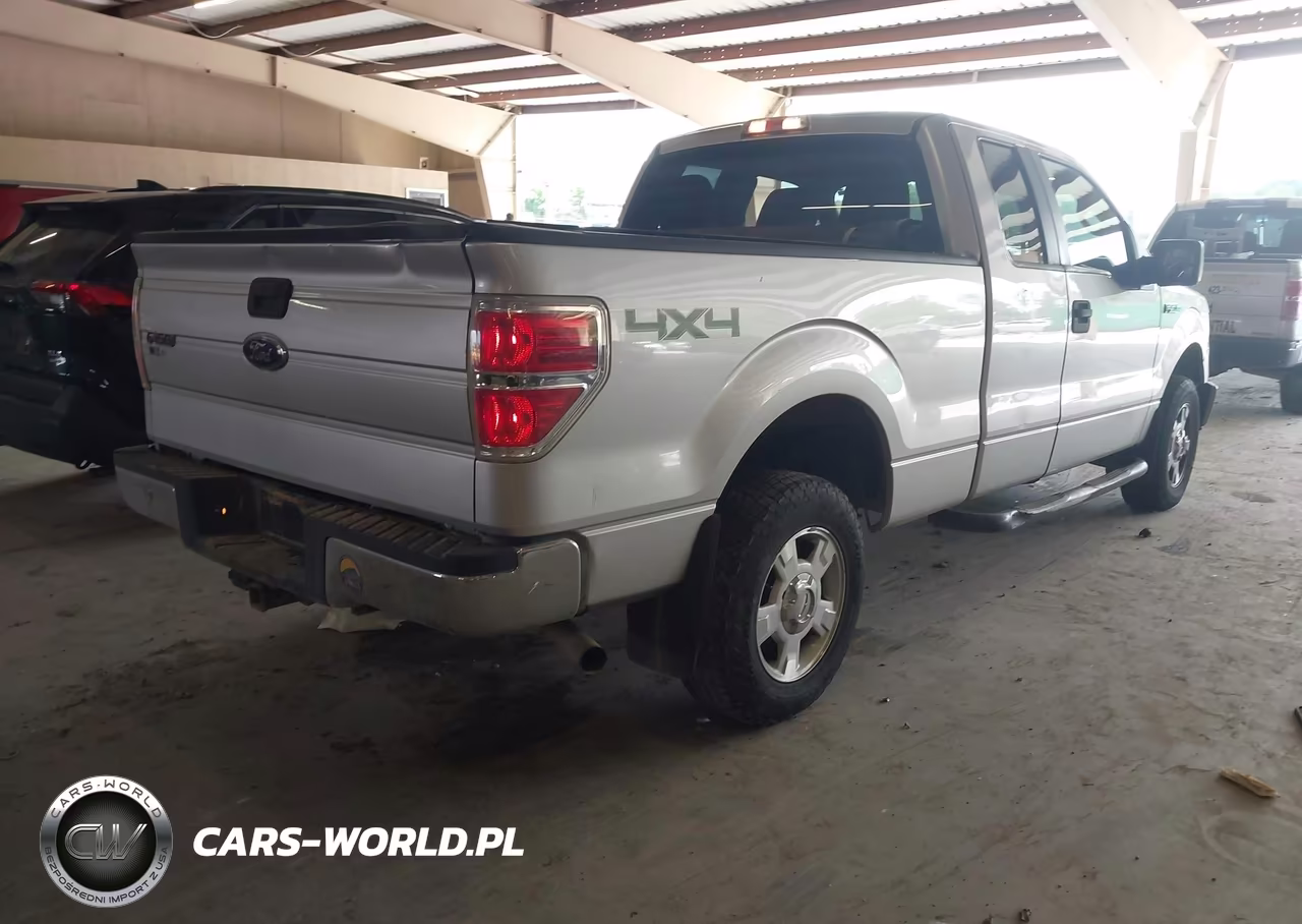2010 Ford F-150 Stx-Xl-Xlt VIN:1FTEX1E81AFB94221 - 4
