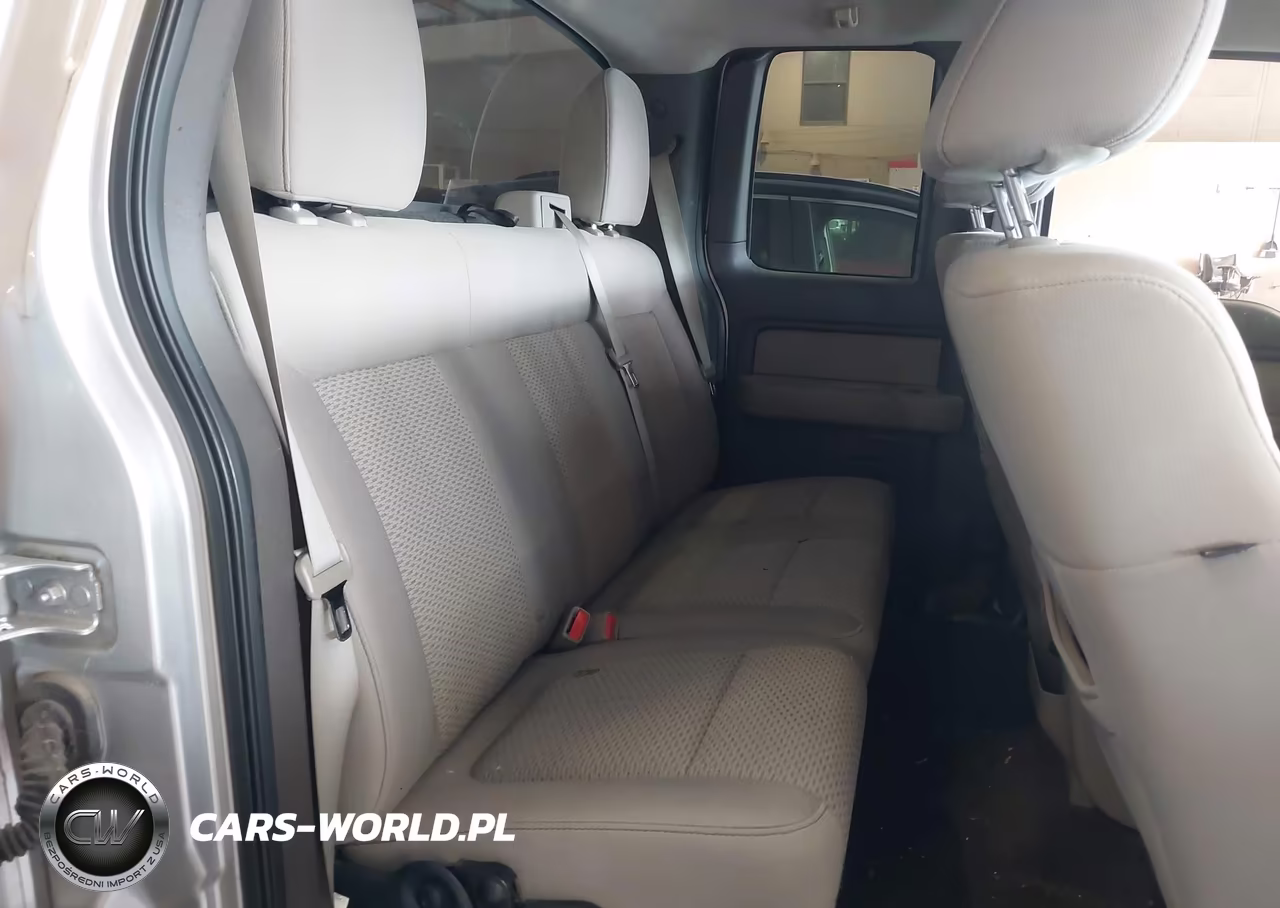 2010 Ford F-150 Stx-Xl-Xlt VIN:1FTEX1E81AFB94221 - 8