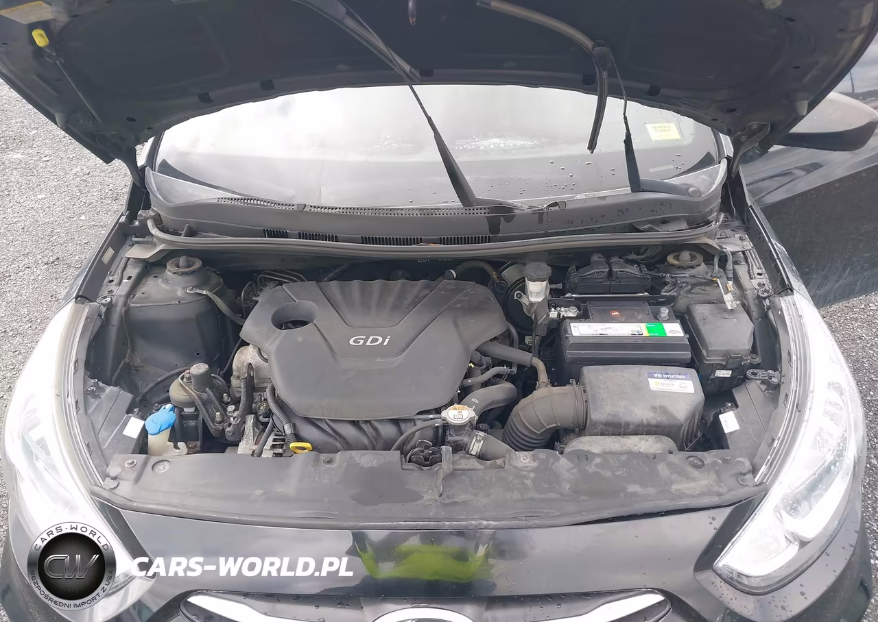 2016 Hyundai Accent Se VIN:KMHCT4AE9GU159345 - 10
