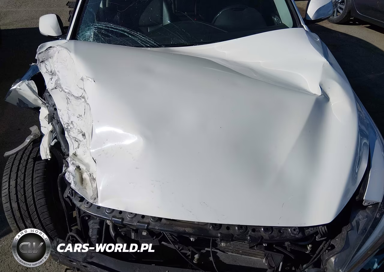 2019 Infiniti Q50 3.0T Luxe VIN:JN1EV7AP9KM542983 - 10
