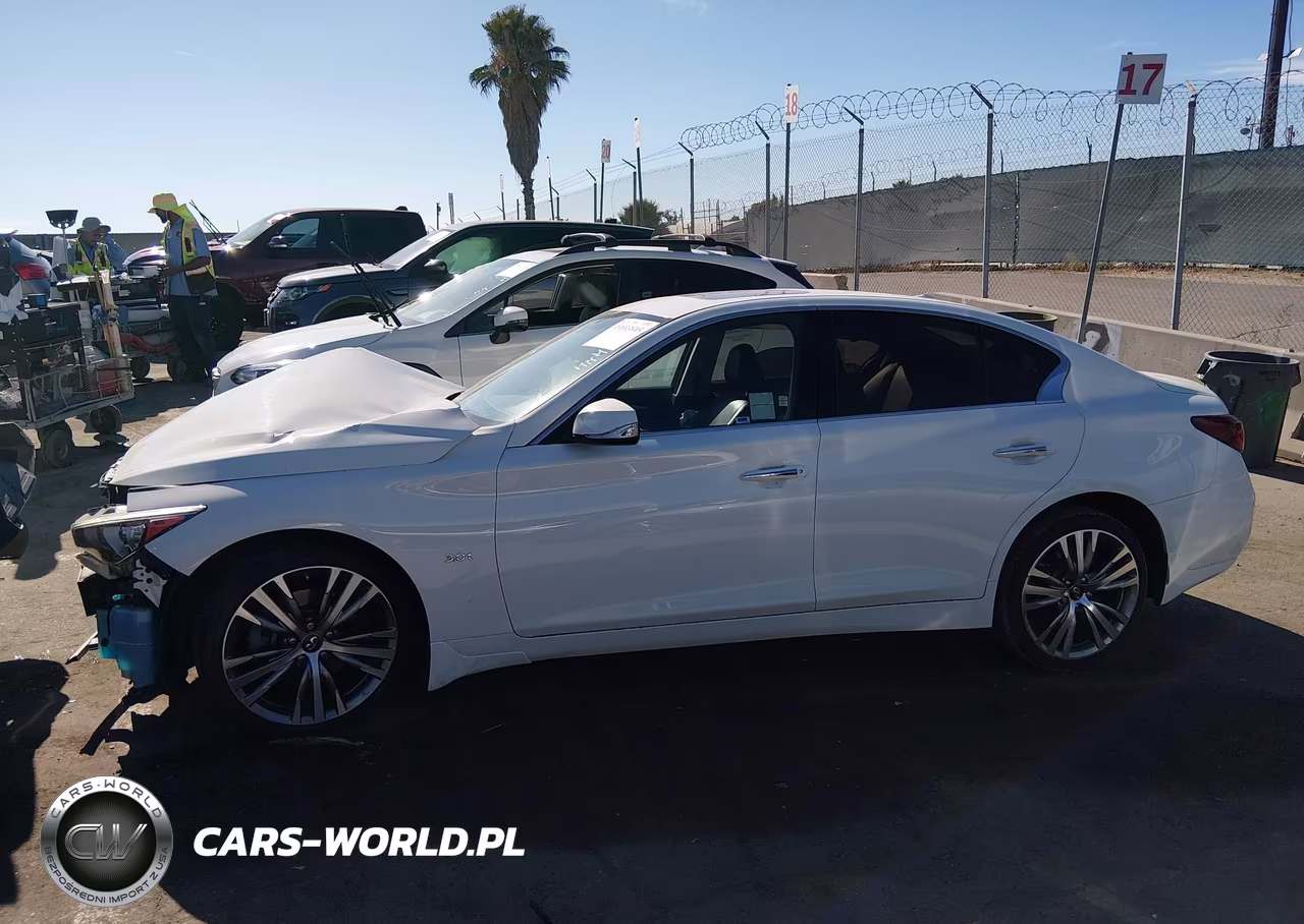 2019 Infiniti Q50 3.0T Luxe VIN:JN1EV7AP9KM542983 - 15