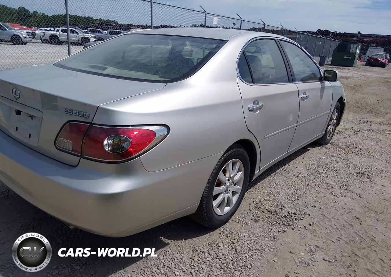 2003 Lexus Es 300 VIN:JTHBF30G736007551 - 4